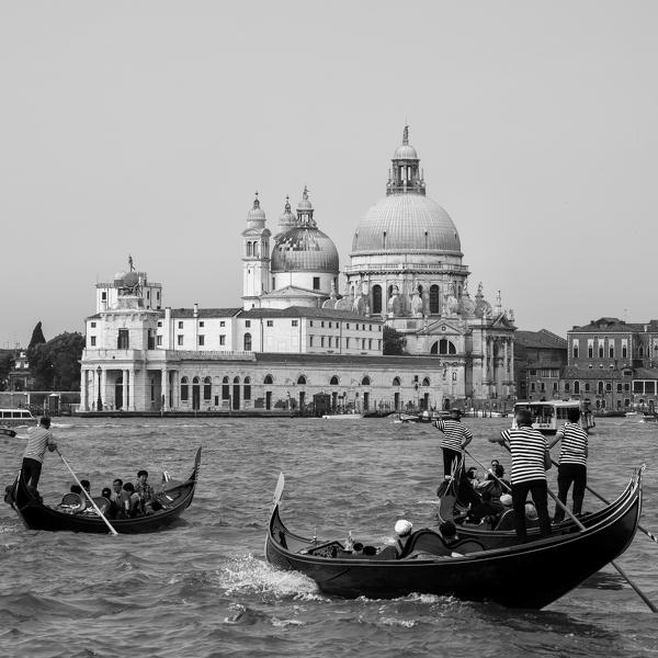 Europe, Italy, gondolas in Venice.