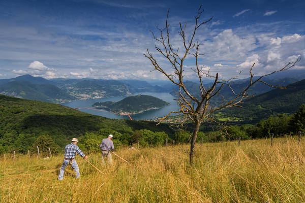 Europe, Italy, farmers in the hills of Lake Iseo, province of Brescia.
