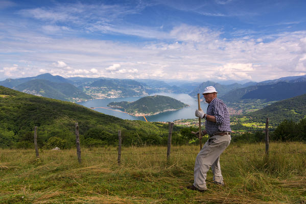 Europe, Italy, farmer in the hills of Lake Iseo, province of Brescia.