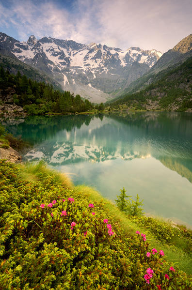 Europe, Italy, aviolo lake in Adamello park province of Brescia.