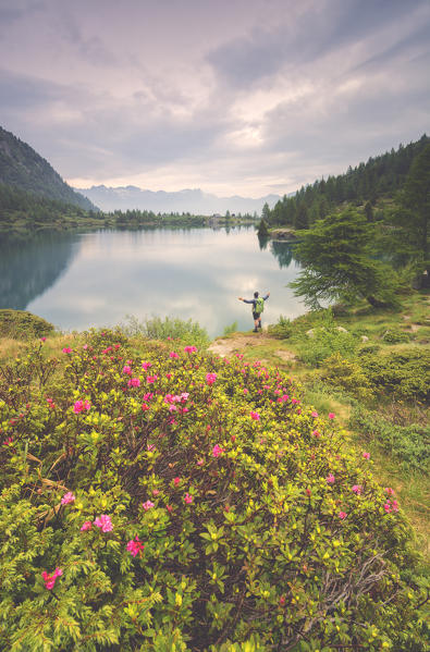 Europe, Ialy, Aviolo lake in Adamello park, province of Brescia.