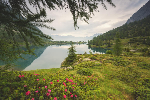 Europe, Italy, Aviolo lake in Adamello park, province of Brescia.