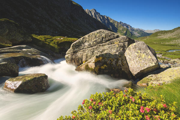 Europe,Italy, Adamè valley in Adamello park,province of Brescia.