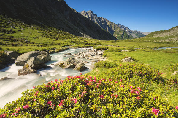 Adame valley in Adamello park, Brescia province, Lombardy, Italy.