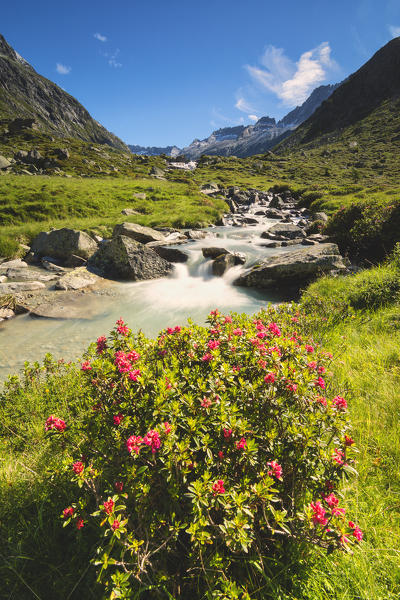 Europe,Italy, Adamè valley in Adamello park,province of Brescia.