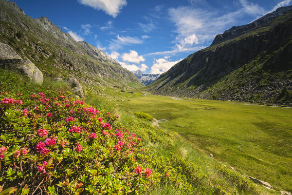 Europe,Italy, Adamè valley in Adamello park,province of Brescia.