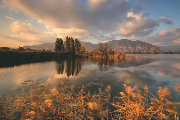 Torbiere del Sebino natural reserve, brescia province, italy, Europe, Lombardy district.