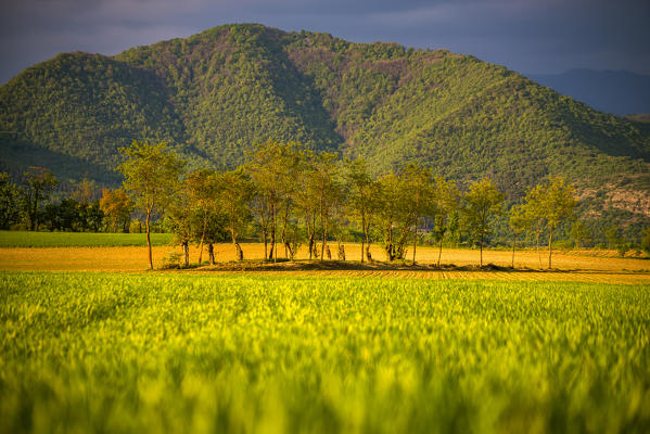 Franciacorta, Brescia province, Italy, Lombardy district, Europe.