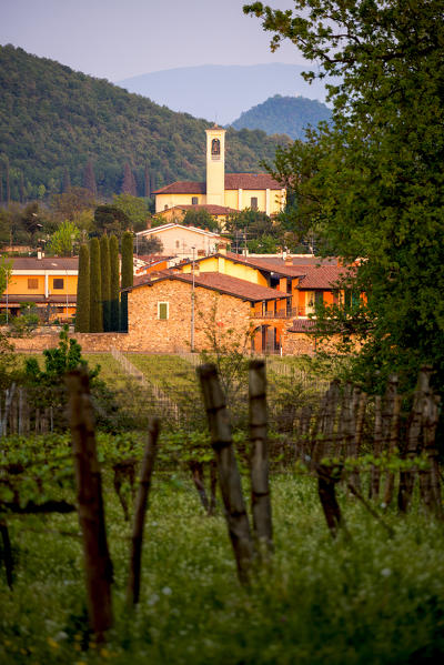 Camignone at sunset in Franciacorta, Brescia province, Lombardy district, Italy, Europe.