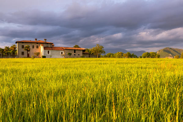 House at sunset in Franciacorta, Brescia province, Lombardy district, Italy, Europe.