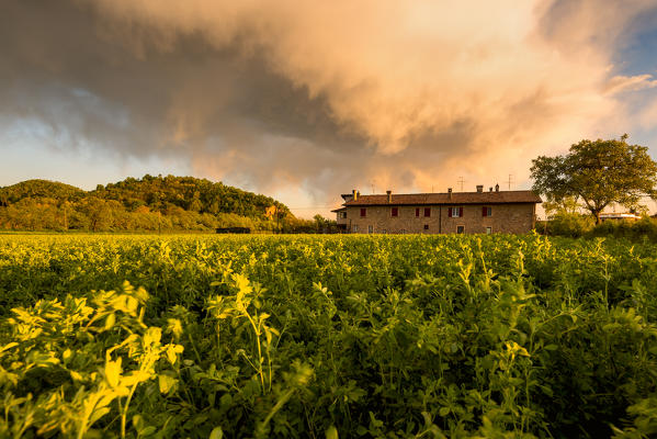 Sunset in Franciacorta, Brescia province, Lombardy district, Italy, Europe.