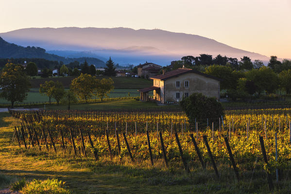 Sunrise in Franciacorta, Brescia province, lombardy district,Italy, Europe.