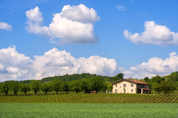 Franciacorta, Brescia province, lombardy district,Italy, Europe.