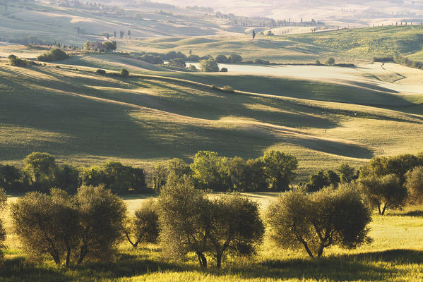 Rolling Hills in Orcia valley, Tuscany district, Siena province, Italy, Europe.