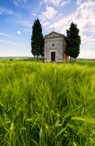 Chapel of Vitaleta in Orcia Valley, Tuscany district, Siena province, Italy, Europe.