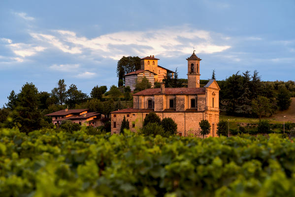Vineyards in Franciacorta, Brescia province in Lombardy district, Italy, Europe.