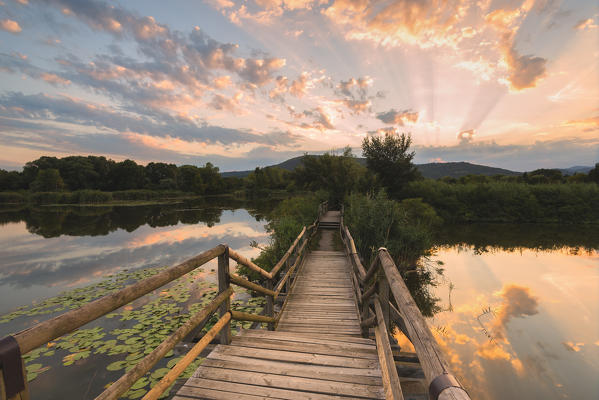 Torbiere del Sebino Natural Reserve, Brescia province in Lombardy district, Italy, Europe.