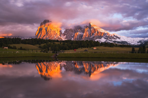 Alpe di Siusi/Seiser Alm, Dolomites, Kastelruth, South Tyrol, Italy.