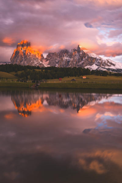 Alpe di Siusi/Seiser Alm, Dolomites, Kastelruth, South Tyrol, Italy.