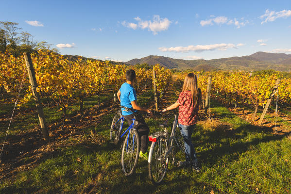 Couple of Bikers in Vineyards, Franciacorta, Province of Brescia, Lombardy, Italy.