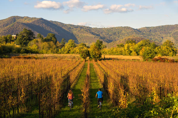 Couple of Bikers in Vineyards, Franciacorta, Province of Brescia, Lombardy, Italy.