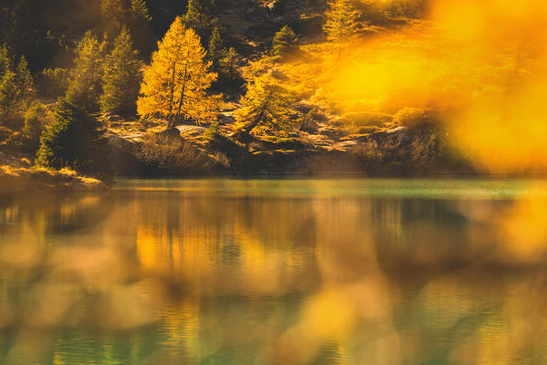 Aviolo lake, Vezza d'Oglio, Brescia province, Lombardy, Italy