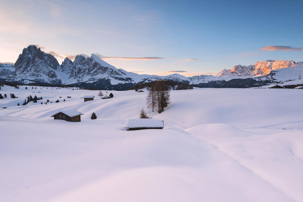 Alpe di Siusi/Seiser Alm, Dolomites, South Tyrol, Italy. Sunrise on the Alpe di Siusi / Seiser Alm with the peaks of Sassolungo / Langkofel and Sassopiatto / Plattkofel.