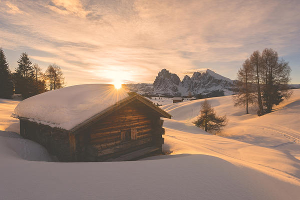 Alpe di Siusi/Seiser Alm, Dolomites, South Tyrol, Italy. Sunrise on the Alpe di Siusi / Seiser Alm with the peaks of Sassolungo / Langkofel and Sassopiatto / Plattkofel.