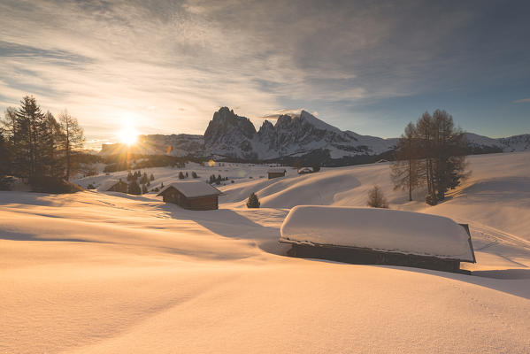 Alpe di Siusi/Seiser Alm, Dolomites, South Tyrol, Italy. Sunrise on the Alpe di Siusi / Seiser Alm with the peaks of Sassolungo / Langkofel and Sassopiatto / Plattkofel.