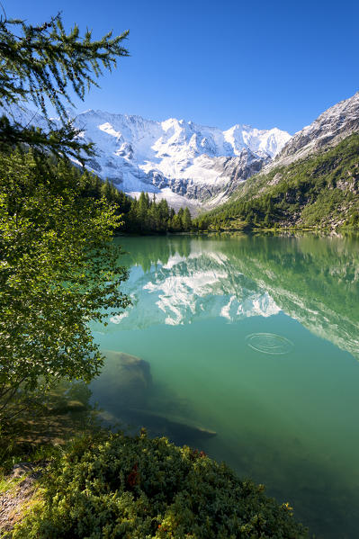 Aviolo lake in Adamello park, Brescia province, Lombardy, Italy.