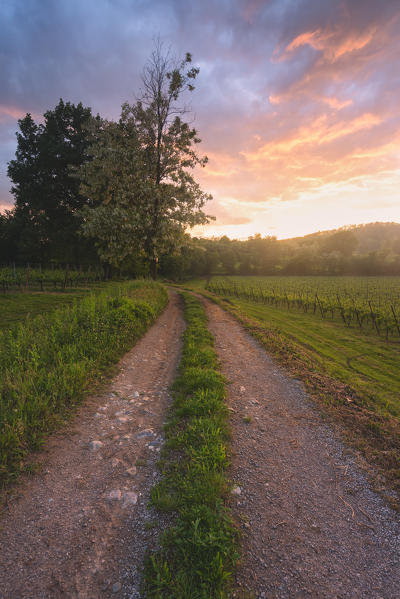 Franciacorta at sunset, Lombardy district, Brescia province, Italy