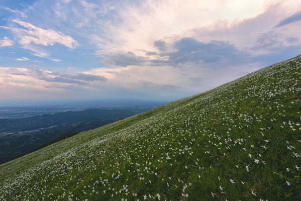 Mount Linzone, Orobie alps, Lombardy district, Bergamo province, Italy