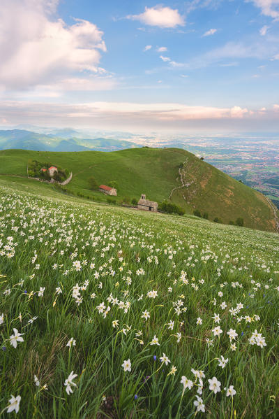 Mount Linzone, Orobie alps, Lombardy district, Bergamo province, Italy