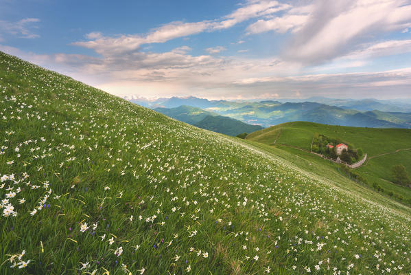 Mount Linzone, Orobie alps, Lombardy district, Bergamo province, Italy