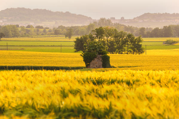 Franciacorta, Lombardy district, Brescia province, Italy.