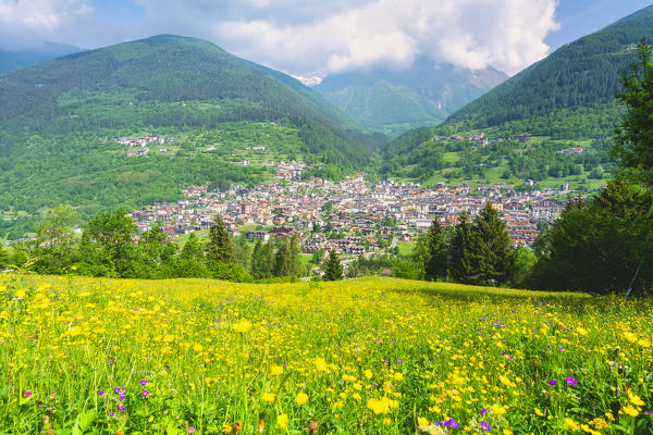 Vezza d'Oglio in spring season, Brescia province, Lombardy district, Italy.