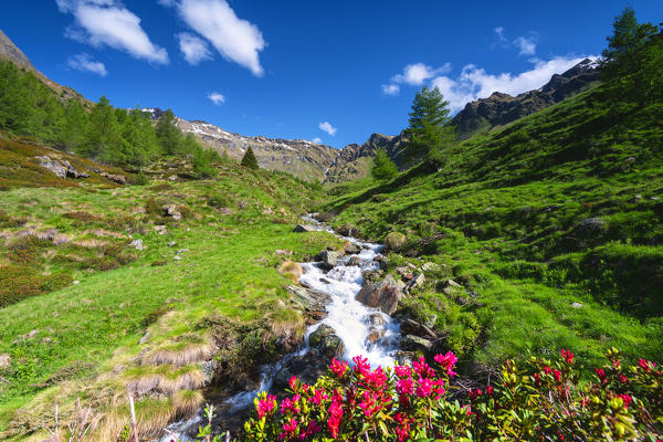 Valle delle Messi, Ponte di Legno, Brescia province, Lombardy district, Italy.