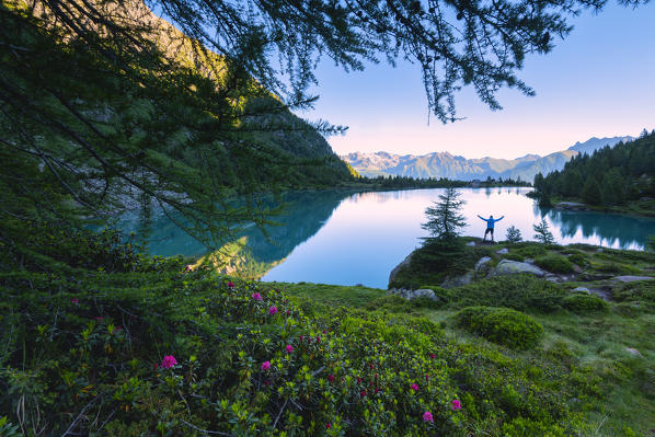 Aviolo lake in Adamello park, Lombardy district, Brescia province, Vallecamonica, Italy.