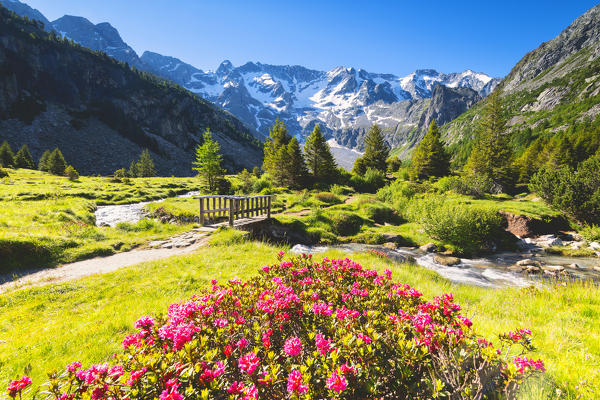 Aviolo lake in Adamello park, Lombardy district, Brescia province, Vallecamonica, Italy.