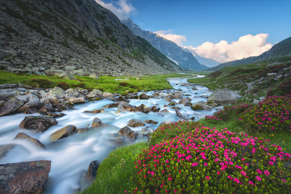 Adamè valley in Adamello park, Vallecamonica, Italy, Lombardy district, Brescia province.