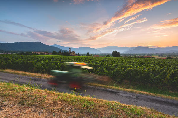 Summer season in Franciacorta, Lombardy district, Brescia province, Italy, Europe.