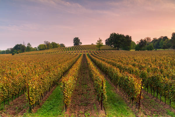 Autumn season in franciacorta, Lombardy district, Brescia province, Italy.