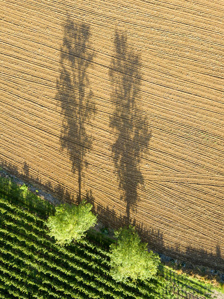 Aerial view of Franciacorta fields, Franciacorta, Brescia province, Lombardy district, Italy.