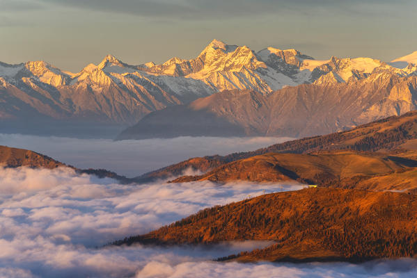 Mount Adamello at Sunset view from Mount Guglielmo above the Clouds, Brescia province, Lombardy district, Italy