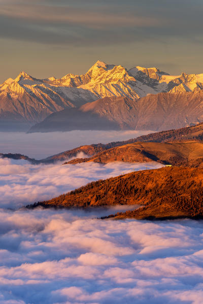 Mount Adamello at Sunset view from Mount Guglielmo above the Clouds, Brescia province, Lombardy district, Italy