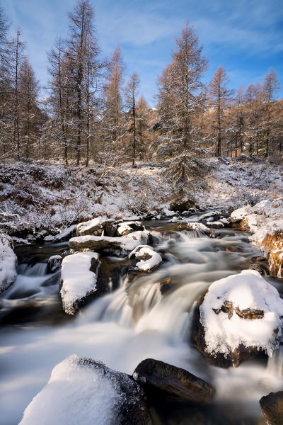 Winter season in Stelvio national park in Camonica valley, Lombardy district, Brescia province, Italy.