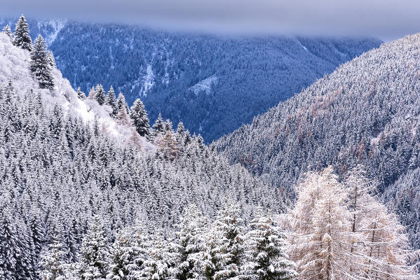 Winter season in Stelvio national park in Camonica valley, Lombardy district, Brescia province, Italy.