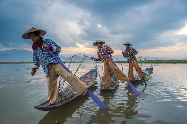 Inle lake, Nyaungshwe township, Taunggyi district, Myanmar (Burma). Thee local fishermen rowing in row.