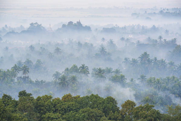 Mrauk-U, Rakhine state, Myanmar. Mrauk-U valley in a foggy sunrise seen from the Shwetaung pagoda.