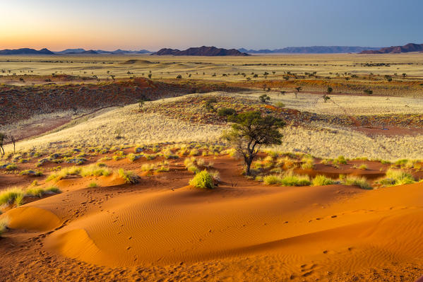 Namib desert, Namibia, Africa. Petrified dunes at sunset.